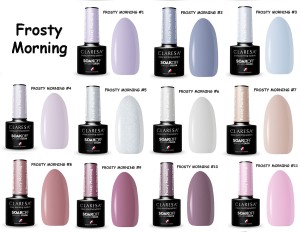 Claresa lakier hybrydowy kolekcja FROSTY MORNING mix kolorów